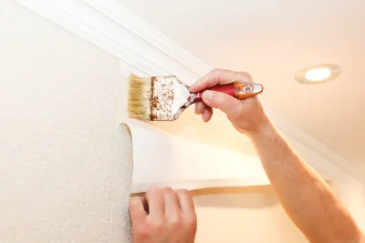 Pose de papier peint à Autruche — revêtements muraux et toiles de verre